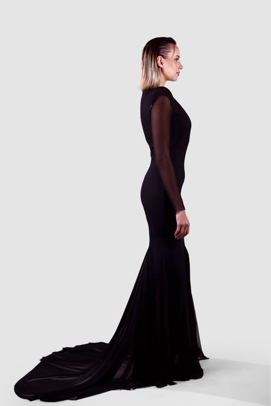 Noir Silhouette Mesh-Sleeve Gown